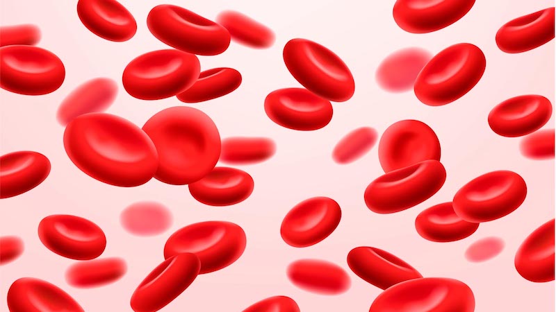 Iron Deficiency Anemia: Are You at Risk?